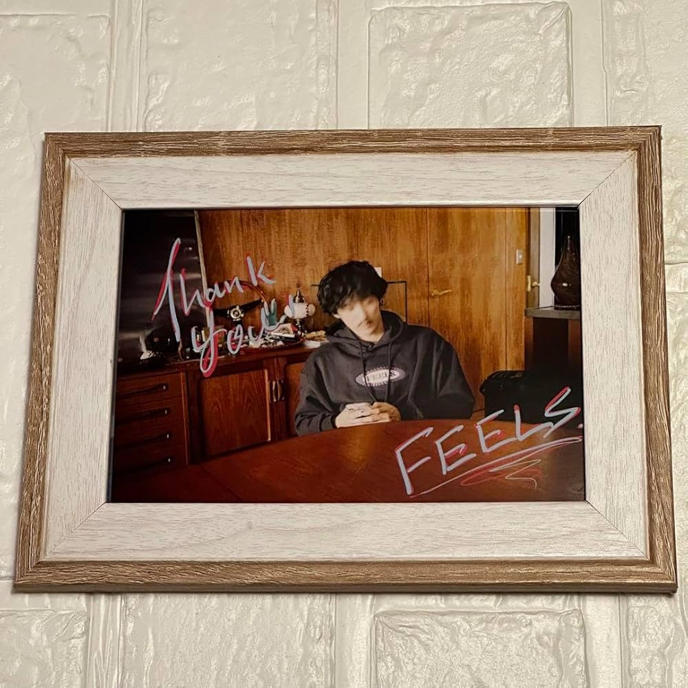 【Lサイズ】FEELS. / HOODIE フーディ（ポストカード付き） Lサイズ】FEELS. / HOODIE フーディ（ポストカード付き）